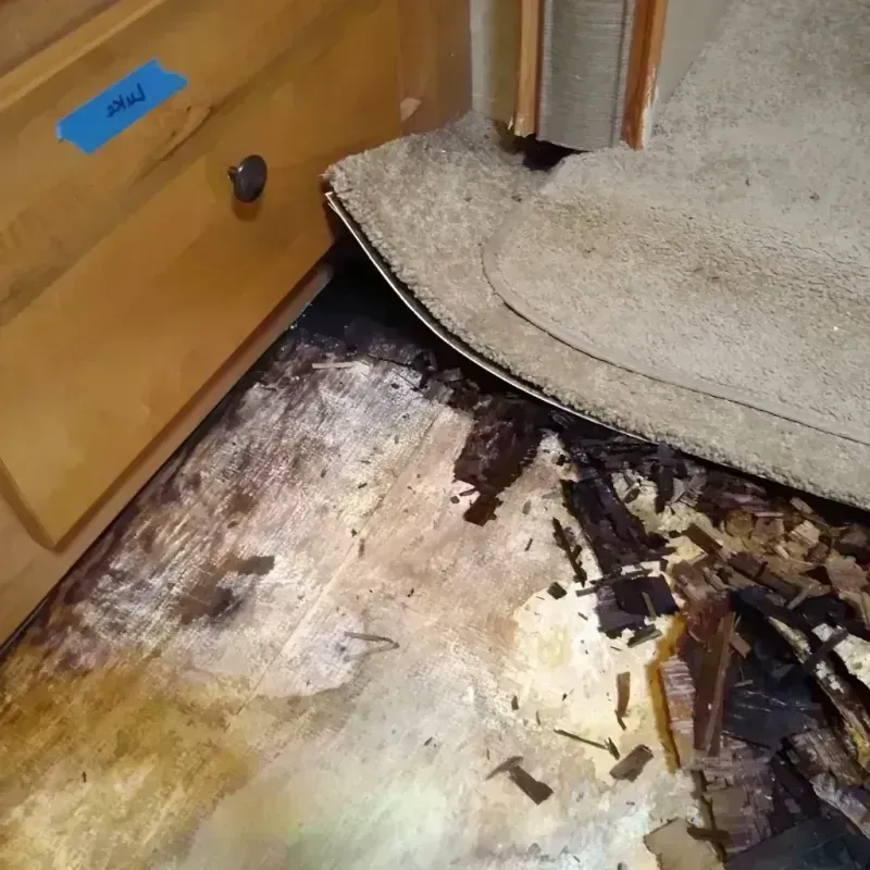 Wood Floor Water Damage in Linganore, MD